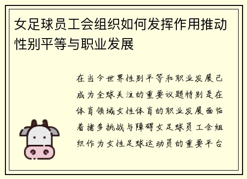 女足球员工会组织如何发挥作用推动性别平等与职业发展
